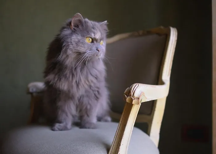 Guest house Relais B