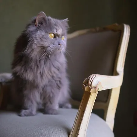 Affittacamere Relais B