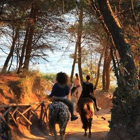 Relais B Affittacamere